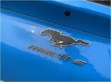 福特电马“Mustang Mach-E”：这匹“电马”有点野，喜欢驾驶别错过